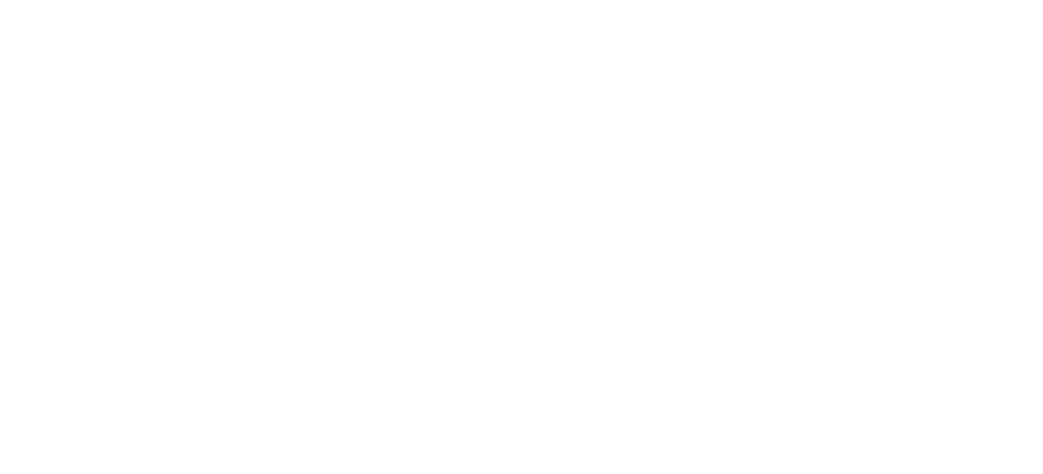 Koddi Logo